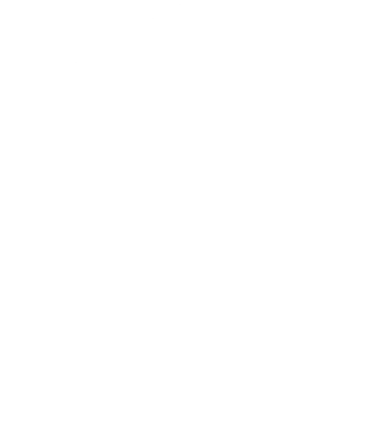 C++