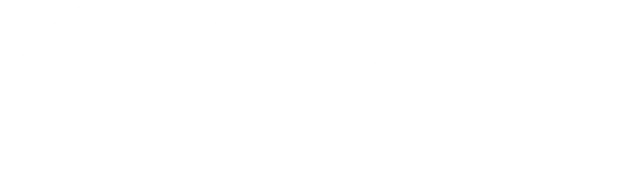 Dart