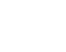 Teremok logo